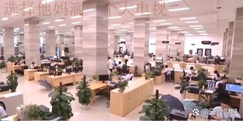 半岛体育科技控股的创新与未来发展 半岛体育科技控股的创新与未来发展