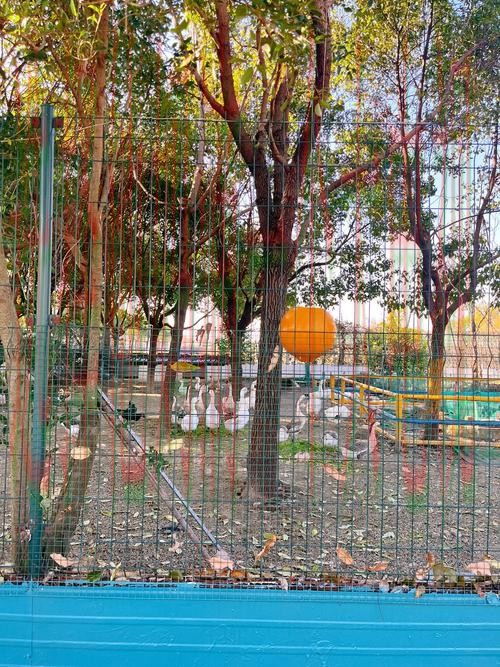 M6在哪里玩好玩又有趣 M6在哪里玩好玩又有趣